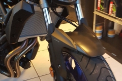 photo5852846209247586255