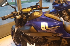 photo5852846209247586256